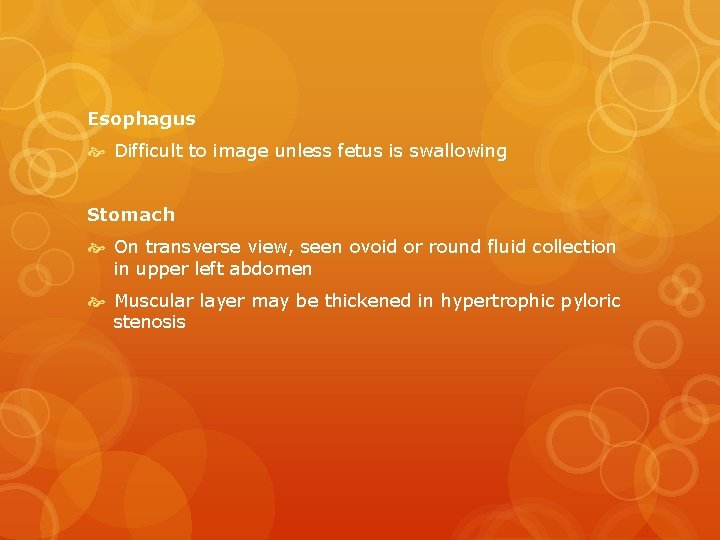 Esophagus Difficult to image unless fetus is swallowing Stomach On transverse view, seen ovoid