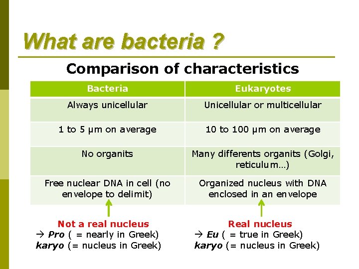 What are bacteria ? Comparison of characteristics Bacteria Eukaryotes Always unicellular Unicellular or multicellular