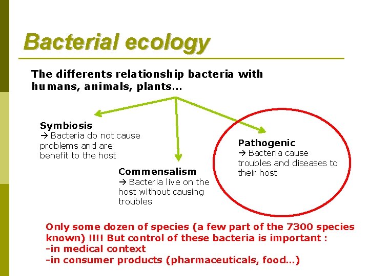 Bacterial ecology The differents relationship bacteria with humans, animals, plants… Symbiosis Bacteria do not