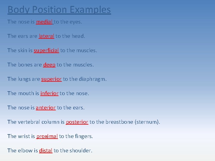 Body Position Examples The nose is medial to the eyes. The ears are lateral