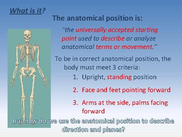 What is it? The anatomical position is: “the universally accepted starting point used to