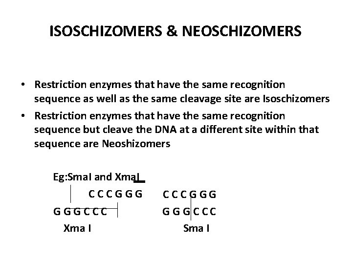 ISOSCHIZOMERS & NEOSCHIZOMERS • Restriction enzymes that have the same recognition sequence as well
