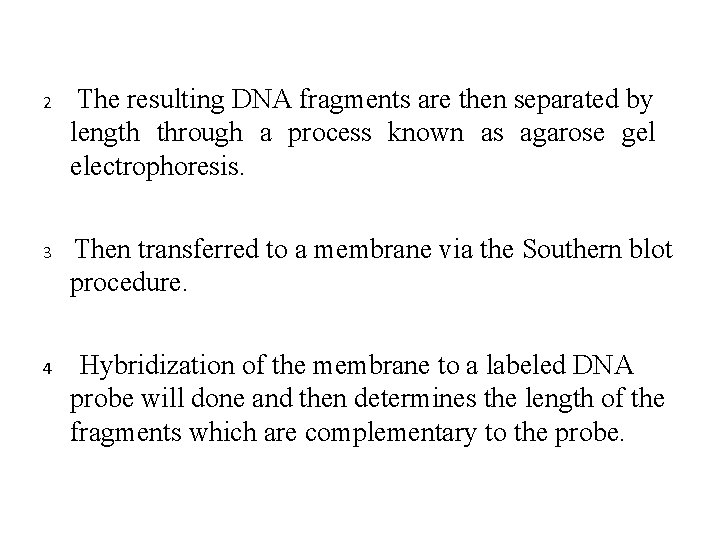 2 The resulting DNA fragments are then separated by length through a process known