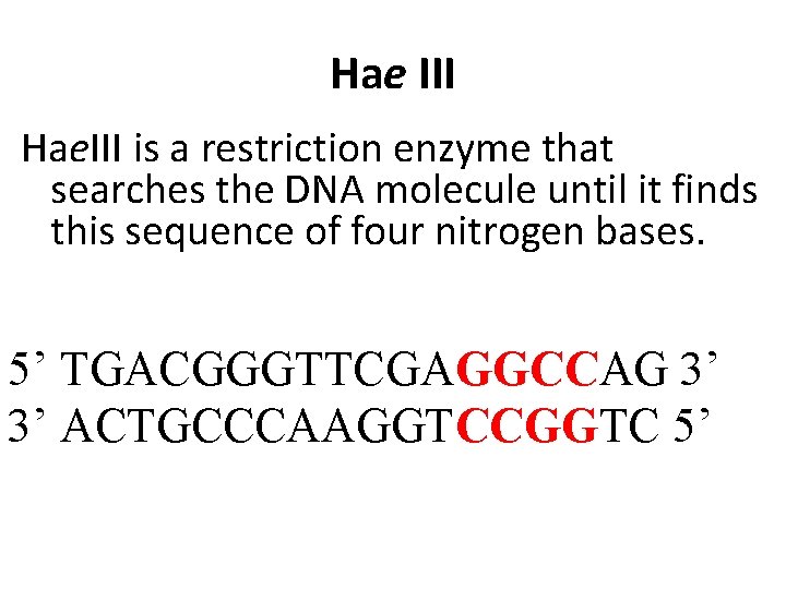 Hae III Hae. III is a restriction enzyme that searches the DNA molecule until