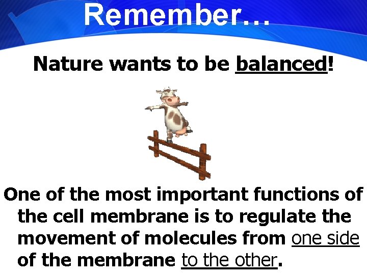 Remember… Nature wants to be balanced! One of the most important functions of the