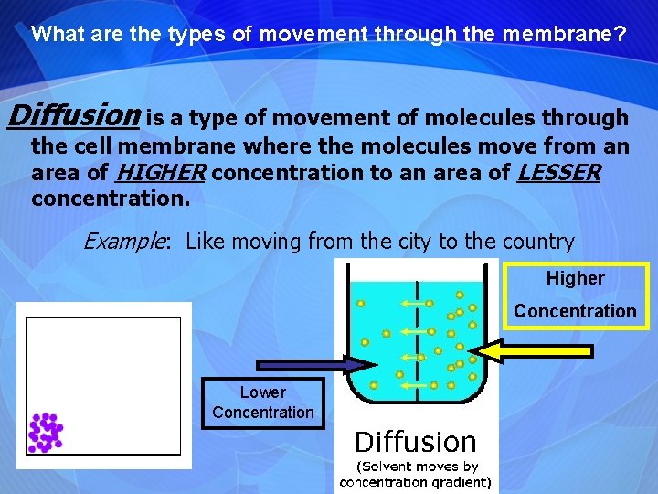 What are the types of movement through the membrane? Diffusion is a type of