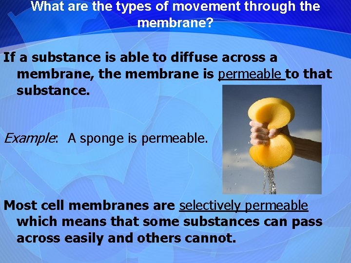 What are the types of movement through the membrane? If a substance is able
