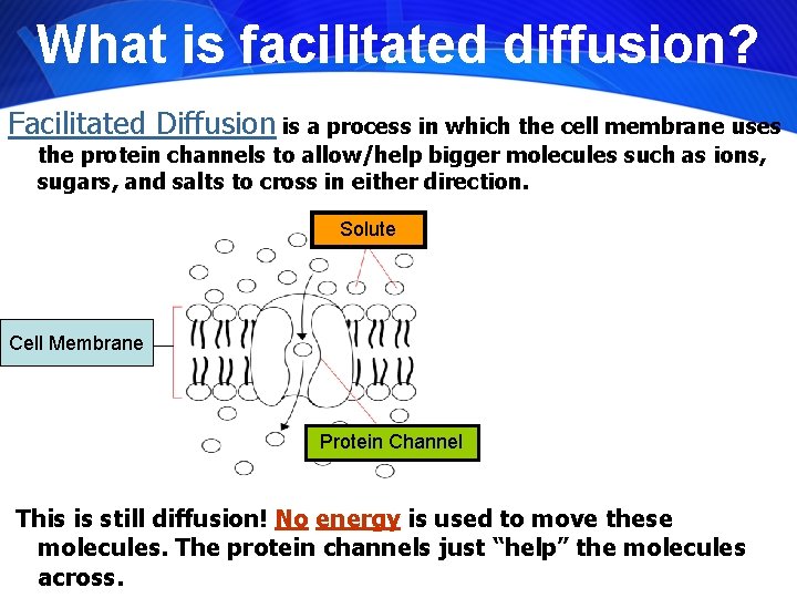 What is facilitated diffusion? Facilitated Diffusion is a process in which the cell membrane