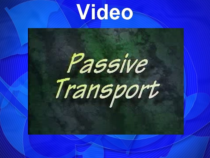 Video 