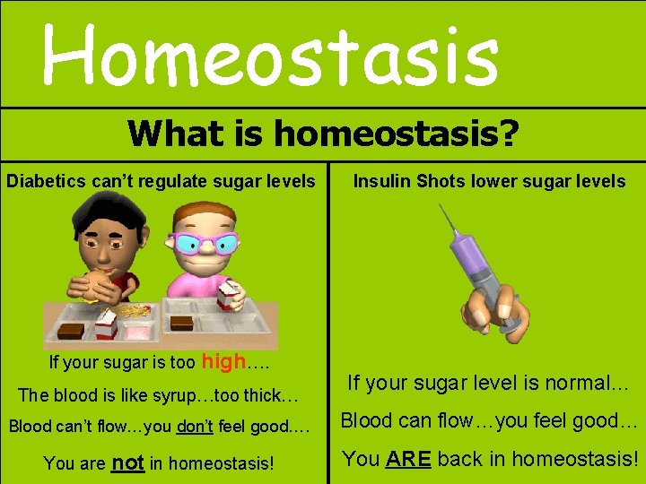 Homeostasis What is homeostasis? Diabetics can’t regulate sugar levels If your sugar is too