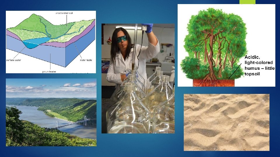 The Biodegradation of Laundry Detergent Using Escherichia coli
