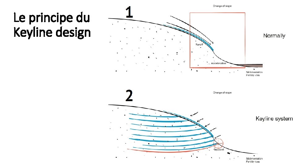 Le principe du Keyline design 