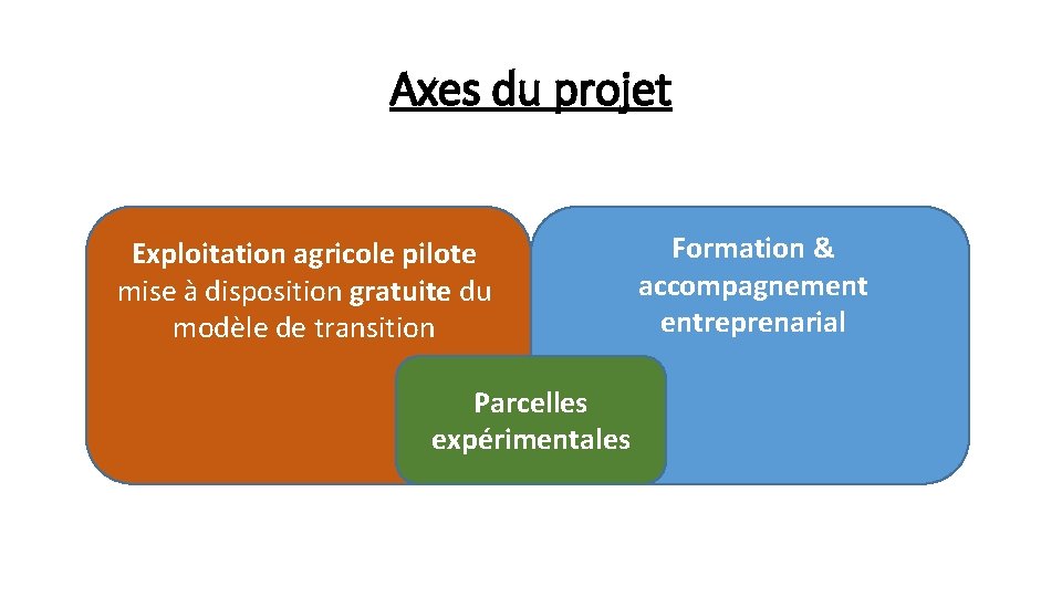 Axes du projet Exploitation agricole pilote mise à disposition gratuite du modèle de transition