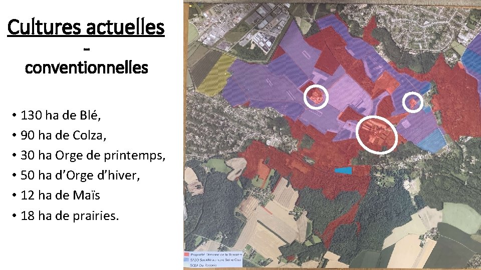 Cultures actuelles conventionnelles • 130 ha de Blé, • 90 ha de Colza, •