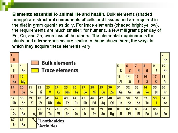 Elements essential to animal life and health. Bulk elements (shaded orange) are structural components
