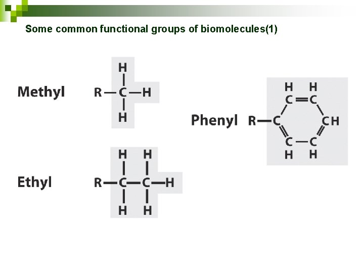 Some common functional groups of biomolecules(1) 