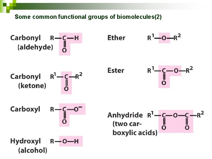 Some common functional groups of biomolecules(2) 