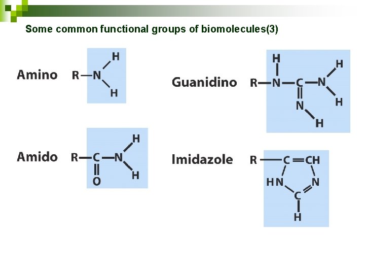 Some common functional groups of biomolecules(3) 