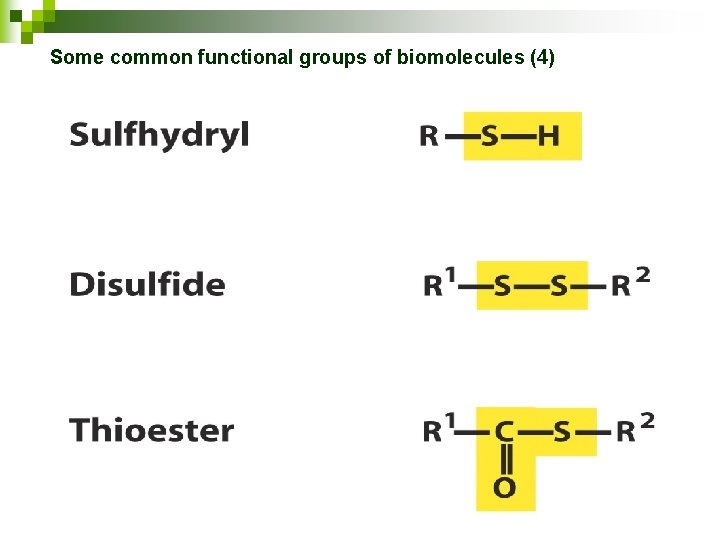 Some common functional groups of biomolecules (4) 