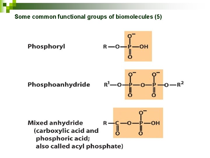 Some common functional groups of biomolecules (5) 
