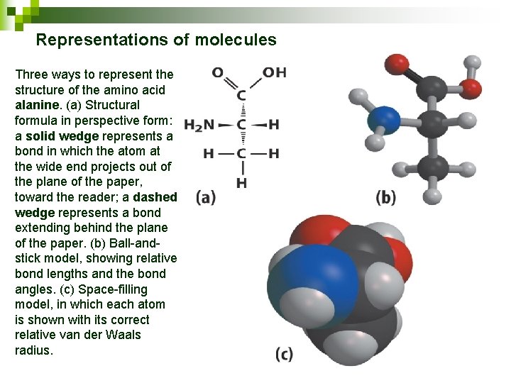 Representations of molecules Three ways to represent the structure of the amino acid alanine.
