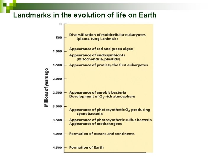Landmarks in the evolution of life on Earth 