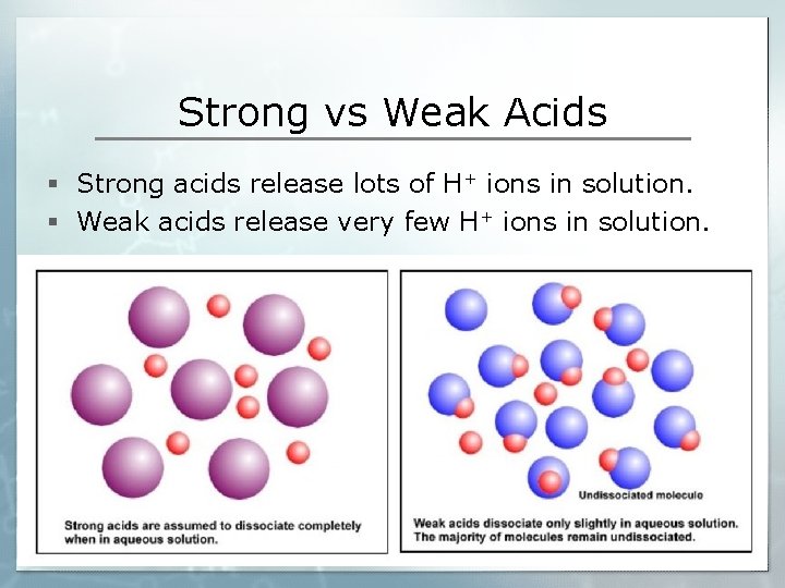 Strong vs Weak Acids § Strong acids release lots of H+ ions in solution.