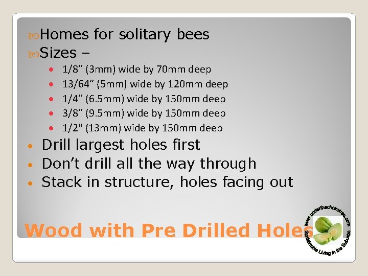  Homes for solitary bees Sizes – 1/8” (3 mm) wide by 70 mm