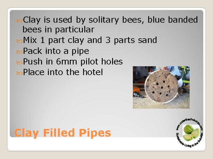  Clay is used by solitary bees, blue banded bees in particular Mix 1