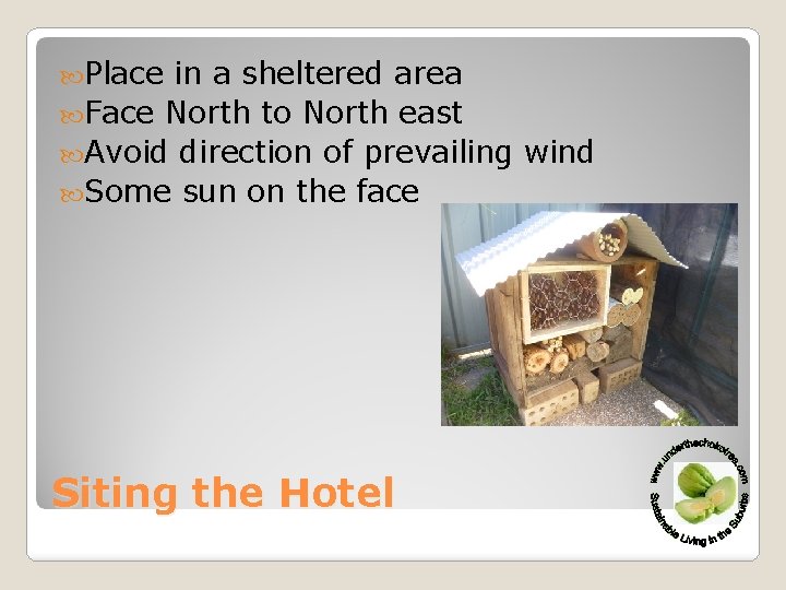  Place in a sheltered area Face North to North east Avoid direction of