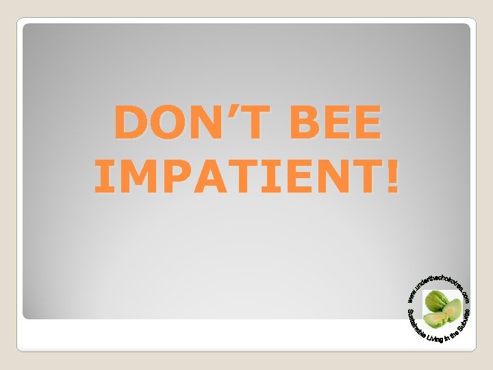 DON’T BEE IMPATIENT! 