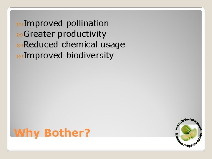  Improved pollination Greater productivity Reduced chemical usage Improved biodiversity Why Bother? 