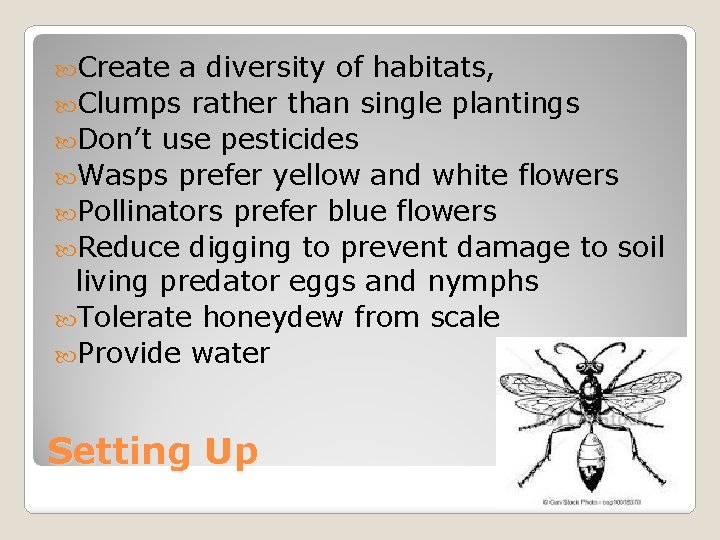  Create a diversity of habitats, Clumps rather than single plantings Don’t use pesticides