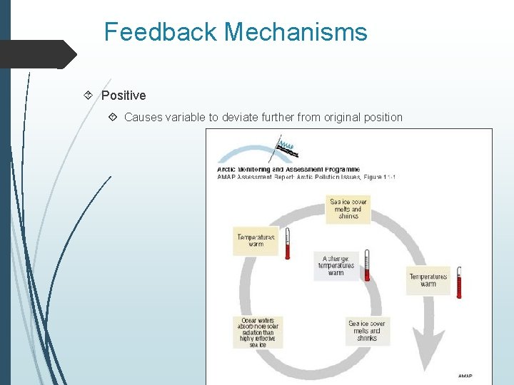 Feedback Mechanisms Positive Causes variable to deviate further from original position 