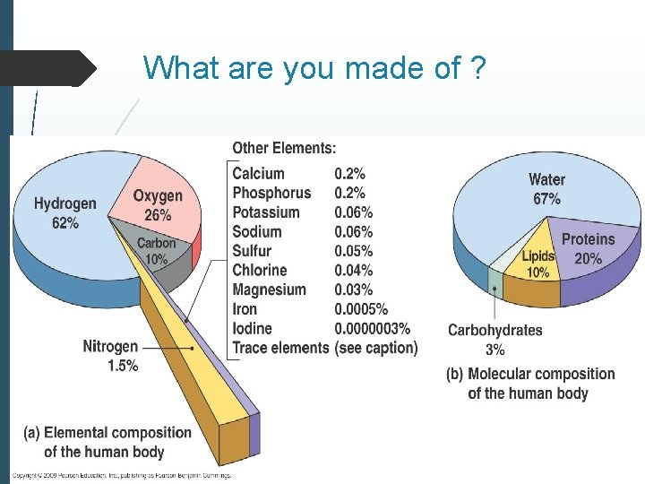 What are you made of ? 