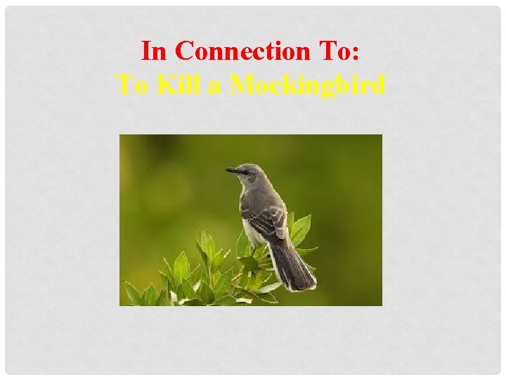 In Connection To: To Kill a Mockingbird 