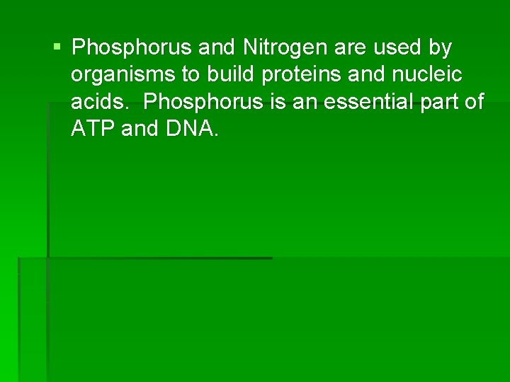 § Phosphorus and Nitrogen are used by organisms to build proteins and nucleic acids.