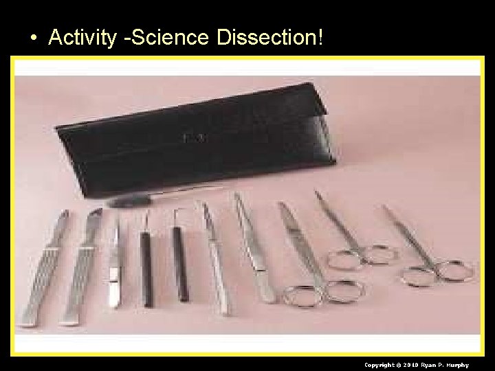  • Activity -Science Dissection! Copyright © 2010 Ryan P. Murphy 