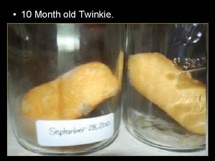  • 10 Month old Twinkie. 