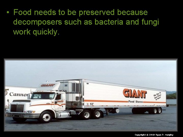  • Food needs to be preserved because decomposers such as bacteria and fungi