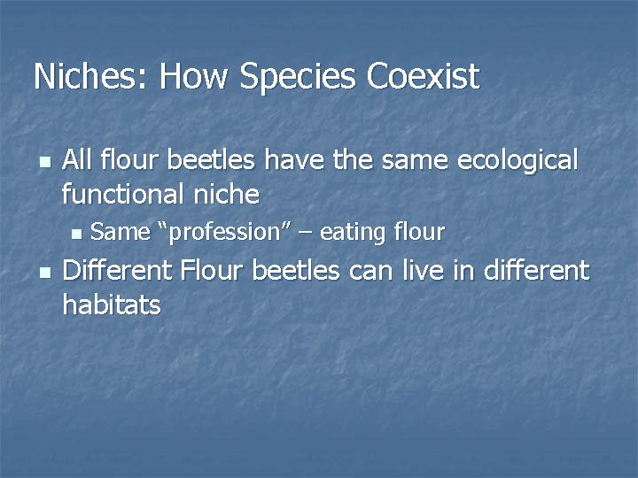 Niches: How Species Coexist n All flour beetles have the same ecological functional niche