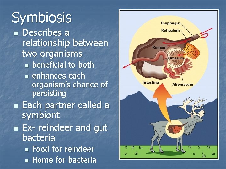 Symbiosis n Describes a relationship between two organisms n n beneficial to both enhances