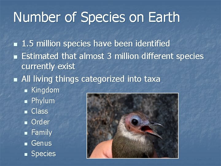 Number of Species on Earth n n n 1. 5 million species have been