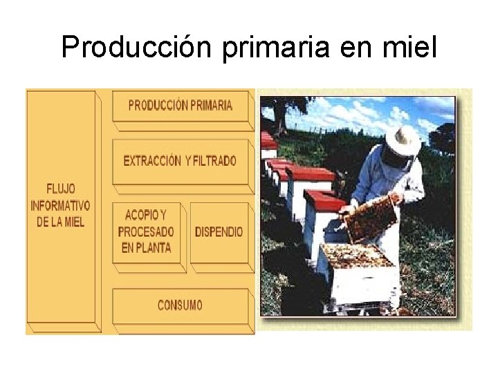 Producción primaria en miel 
