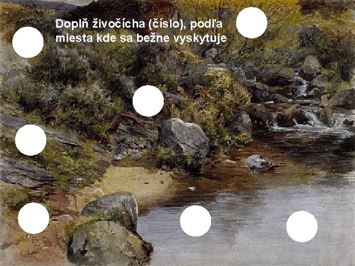 Doplň živočícha (číslo), podľa miesta kde sa bežne vyskytuje 