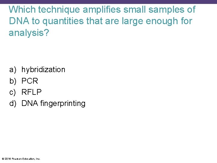 Which technique amplifies small samples of DNA to quantities that are large enough for