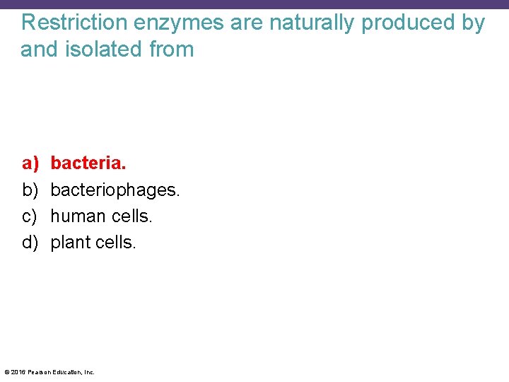 Restriction enzymes are naturally produced by and isolated from a) b) c) d) bacteria.