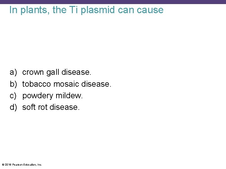 In plants, the Ti plasmid can cause a) b) c) d) crown gall disease.