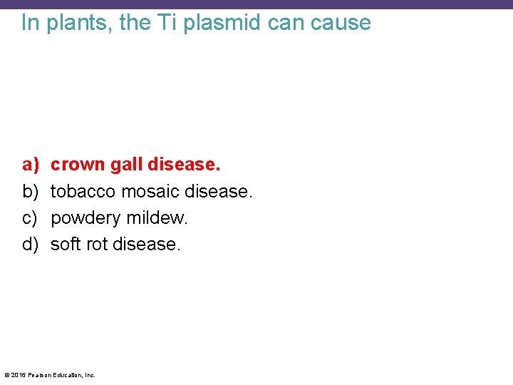 In plants, the Ti plasmid can cause a) b) c) d) crown gall disease.