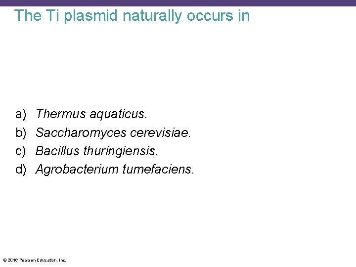 The Ti plasmid naturally occurs in a) b) c) d) Thermus aquaticus. Saccharomyces cerevisiae.